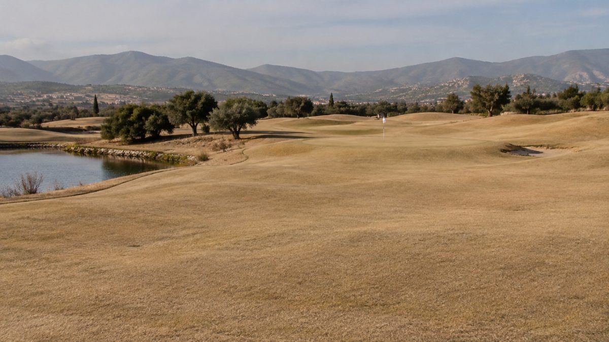 Césped bermuda en dormancia invernal en un campo de España