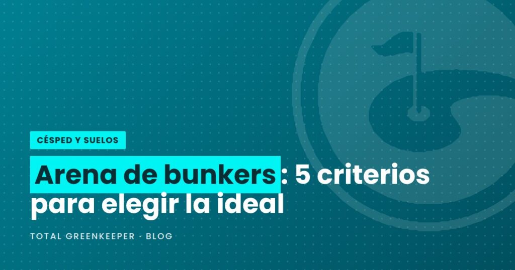 Arena de bunkers: 5 criterios para elegir la ideal