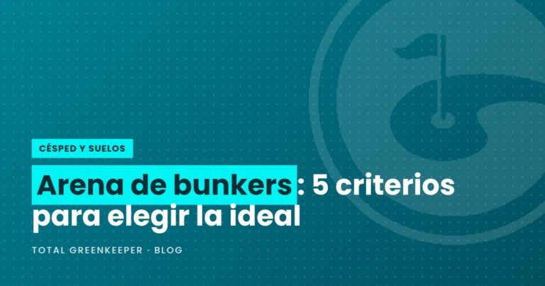 Arena de bunkers: 5 criterios para elegir la ideal