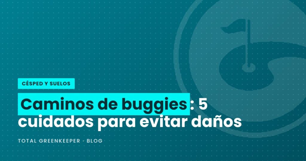 Caminos de buggies: 5 cuidados para evitar daños