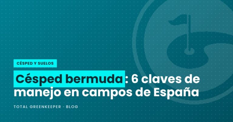 Césped bermuda: 6 claves de manejo en campos de España
