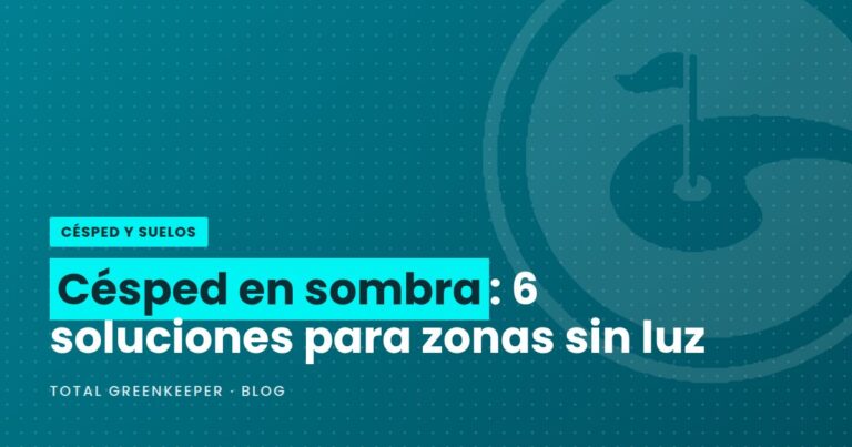 Césped en sombra: 6 soluciones para zonas sin luz