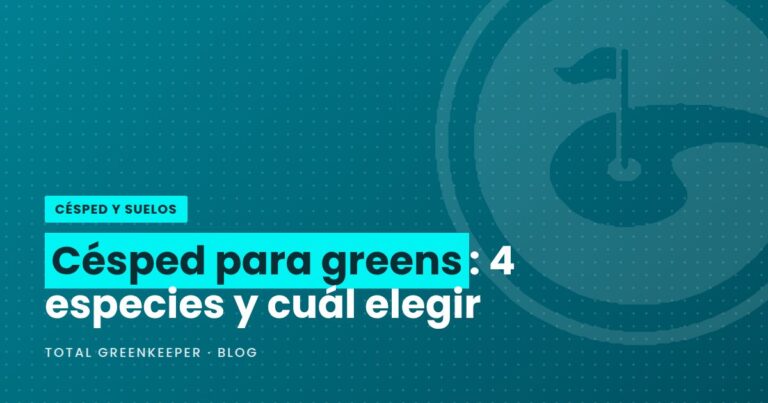 Césped para greens: 4 especies y cuál elegir