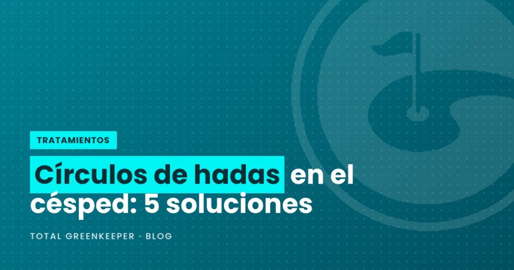 Círculos de hadas en el césped: 5 soluciones