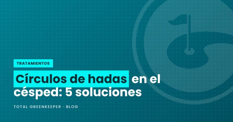 Círculos de hadas en el césped: 5 soluciones