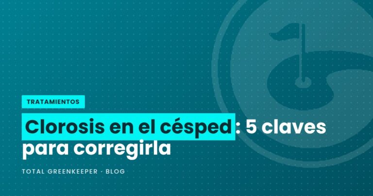 Clorosis en el césped: 5 claves para corregirla