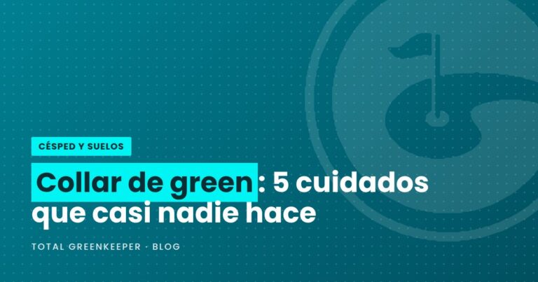 Collar de green: 5 cuidados que casi nadie hace