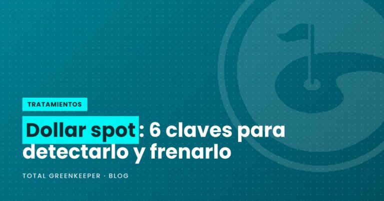 Dollar spot: 6 claves para detectarlo y frenarlo