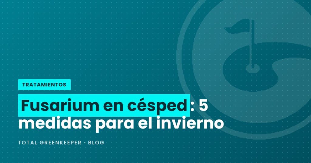 Fusarium en césped: 5 medidas para el invierno