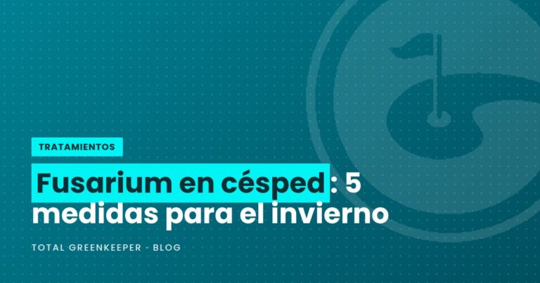 Fusarium en césped: 5 medidas para el invierno