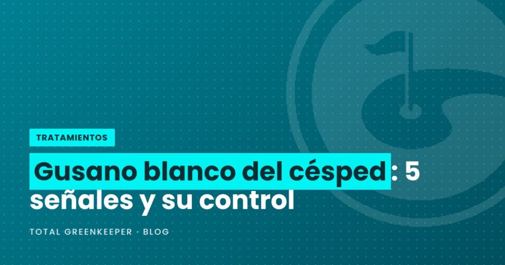 Gusano blanco del césped: 5 señales y su control