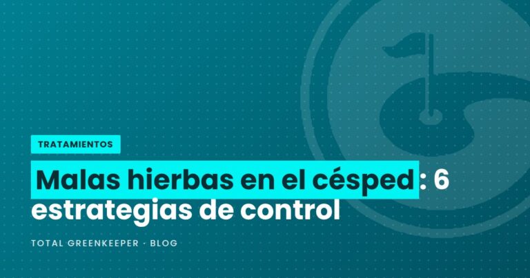 Malas hierbas en el césped: 6 estrategias de control