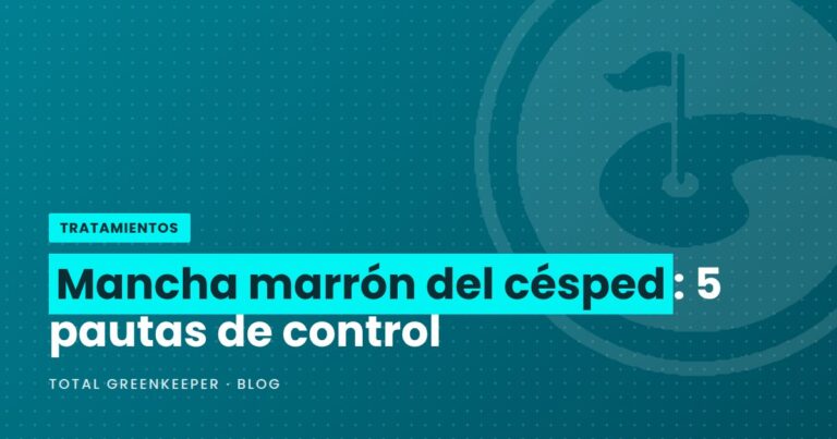 Mancha marrón del césped: 5 pautas de control