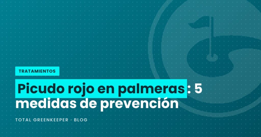 Picudo rojo en palmeras: 5 medidas de prevención