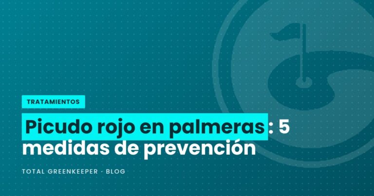 Picudo rojo en palmeras: 5 medidas de prevención