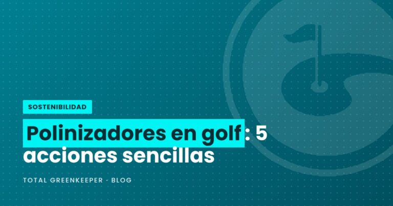 Polinizadores en golf: 5 acciones sencillas