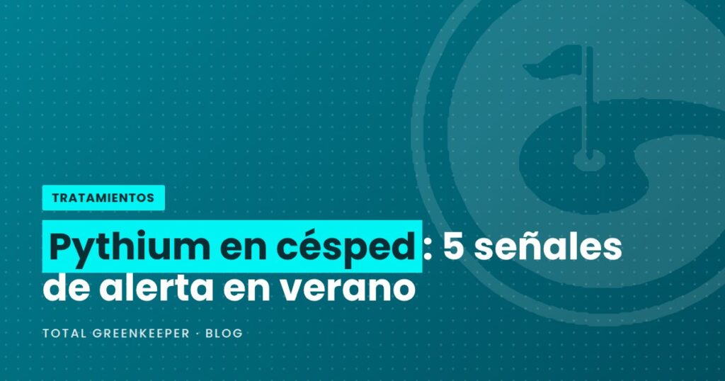 Pythium en césped: 5 señales de alerta en verano