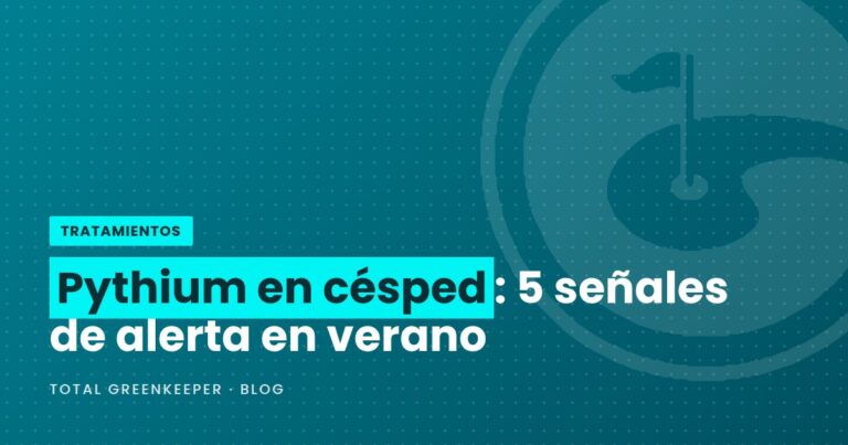 Pythium en césped: 5 señales de alerta en verano