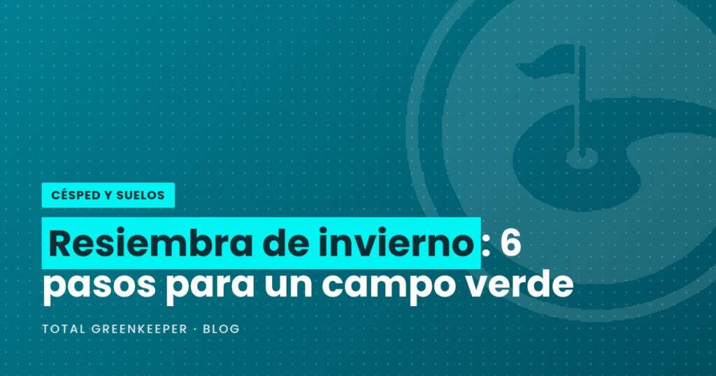 Resiembra de invierno: 6 pasos para un campo verde