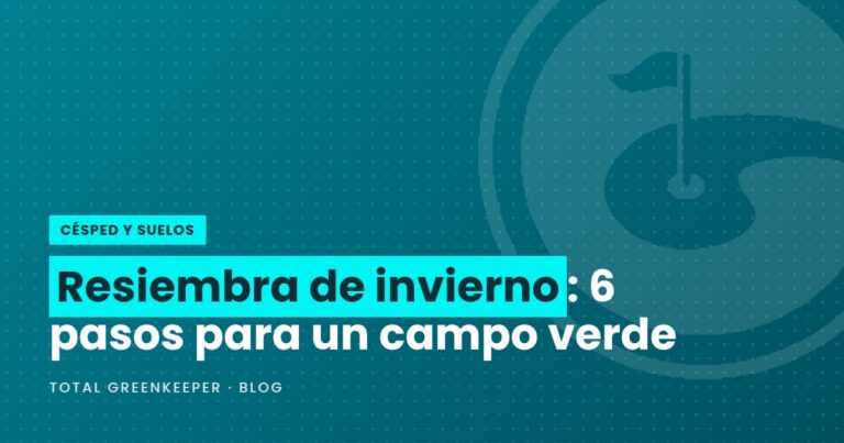 Resiembra de invierno: 6 pasos para un campo verde