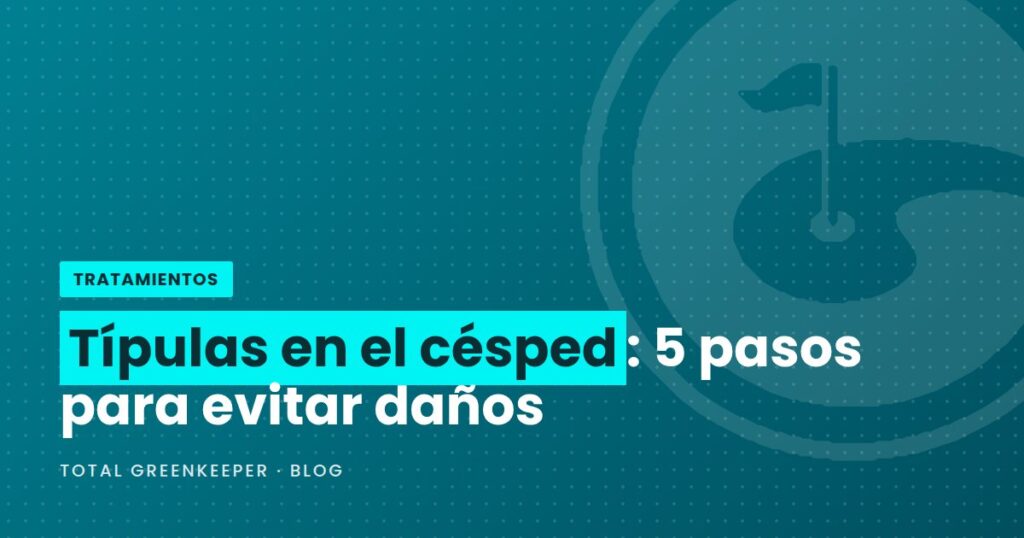 Típulas en el césped: 5 pasos para evitar daños
